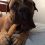 Photo of All Paws Pet Center