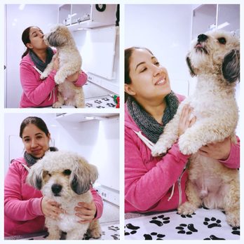 The Venturing Vet - Veterinarians Near Me The Venturing Vet - Veterinarians Near Me