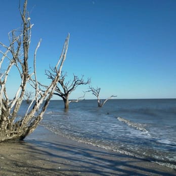 Botany Bay Plantation - Parks Near Me - Edisto Island, South Carolina