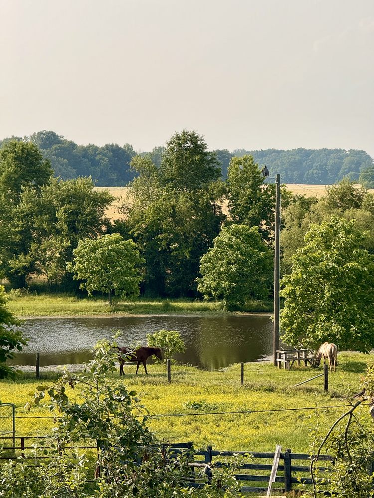 Quiet Life Ranch - veterans service organization in Portland, TN