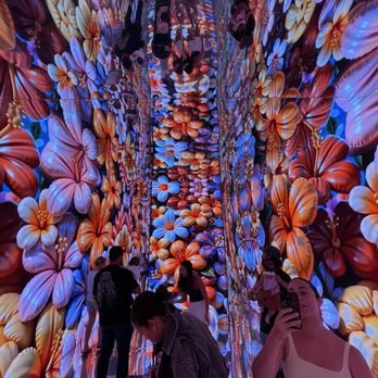 Balloon Museum - Art Museums Near Me - Miami, Florida