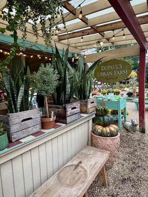 Depaul's Urban Farm by null