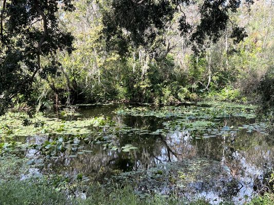 Sawgrass Lake Park by null