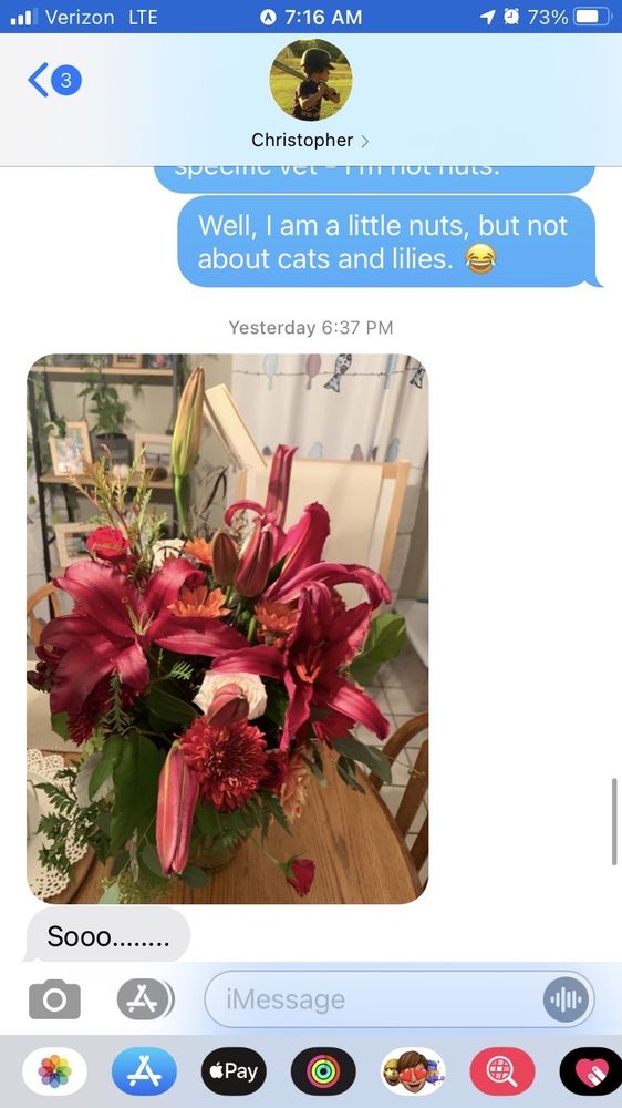 WILDFLOWERS OF TOLLAND Updated September 2024 38 Photos & 16