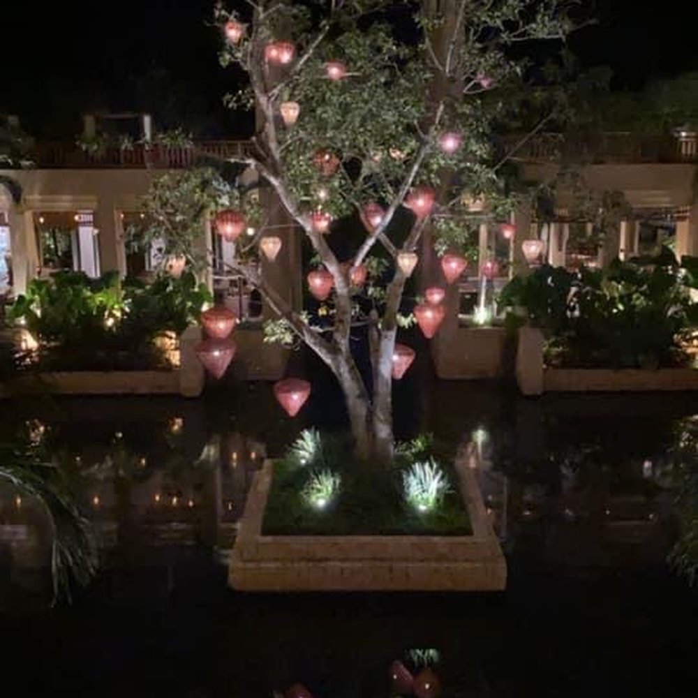 Banyan Tree Mayakoba - Banyan Tree at night. Lobby - Hotels Near Me - Playa del Carmen, ROO