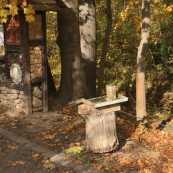 Tierpark Gotha