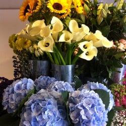Belfast Flower Delivery - Flowers