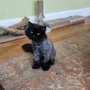 Photo of Badkitty Cat Grooming