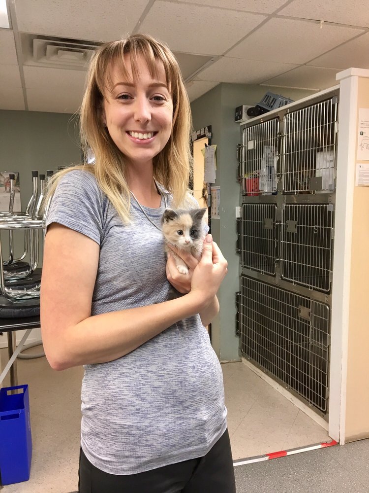 Long Branch Animal Clinic Image