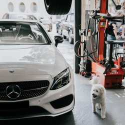 Vaucluse Auto Repairs