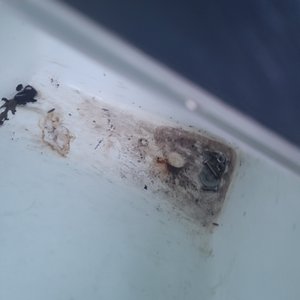 TEXAS MARINE - CONROE - Updated January 2025 - 23 Reviews - 1107 I-45 S