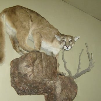 Jake's Midnight Taxidermy - Taxidermy Near Me - Irwin, Idaho