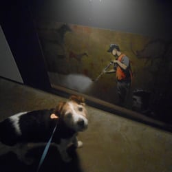 Fenixloodsen - Ja als hond zie je het er niet van af..