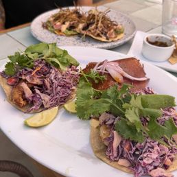Taco Trio