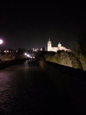 Catedral Vieja de Santa María de la Sede de Salamanca by null