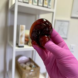 Barely Sweet Sugaring