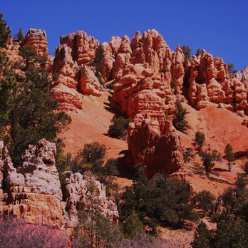 Dixie National Forest - Red Sandstone - Parks Near Me - Cedar City, Utah