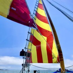 Sail Taihoa - Sailing the bay.