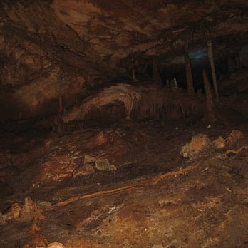 Inner Space Cavern - Near wear the fake midget bat lives. - Tours Near Me - Georgetown, Texas