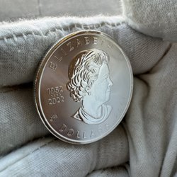 Wise Wolf Gold & Silver Denison