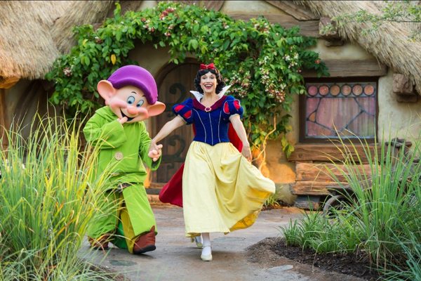 Seven Dwarfs Mine Train by null