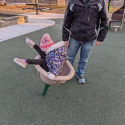 Collins Rest-a-while Park - Spinning flower looking thing