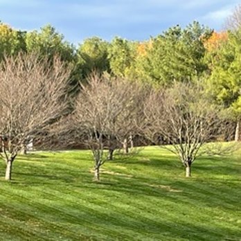 Glenstone - Art Museums Near Me - Potomac, Maryland