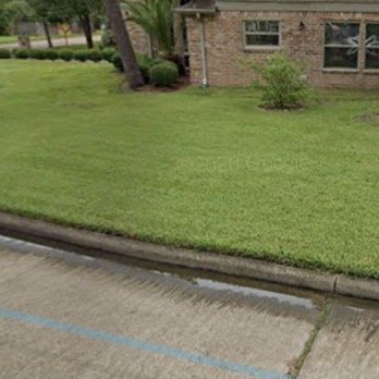 TruGreen Lawn Care - Before TruGreen - Tree Services Near Me - Sugar Land, Texas TruGreen Lawn Care - Before TruGreen - Tree Services Near Me - Sugar Land, Texas