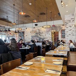 Gringos & Mariachis