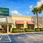 T Gregory Imports