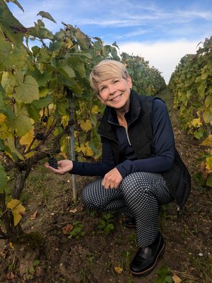 Paris Champagne Tour by null