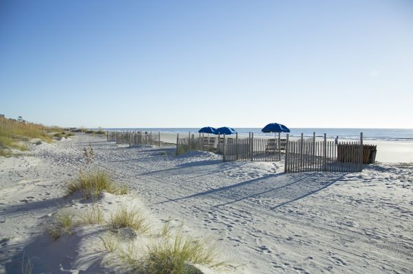 Palmetto Dunes Oceanfront Resort by null