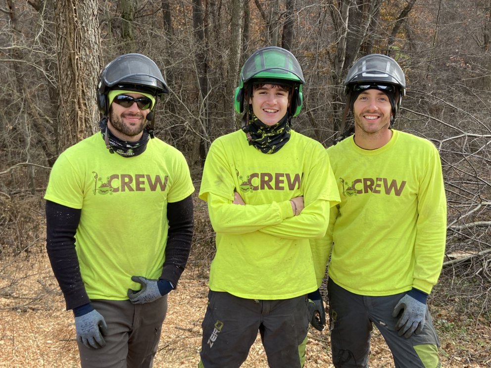 Monster Tree Service of North Pittsburgh - tree service in Evans City, PA