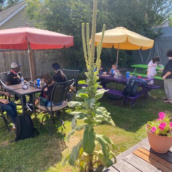 Tina's Tacos - Family in amazing backyard of Tina's - Mexican Near Me - Friday Harbor, Washington Tina's Tacos - Family in amazing backyard of Tina's - Mexican Near Me - Friday Harbor, Washington