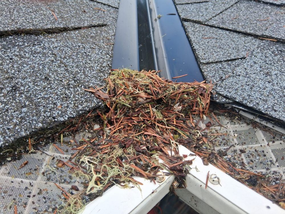 Leaf Filter - I don't think I've ever felt so duped by a company! Avoid Leaf Filter! - Gutter Services Near Me - Eugene, Oregon Leaf Filter - I don't think I've ever felt so duped by a company! Avoid Leaf Filter! - Gutter Services Near Me - Eugene, Oregon