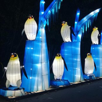 Wild Lights - Festivals Near Me - Louisville, Kentucky Wild Lights - Festivals Near Me - Louisville, Kentucky