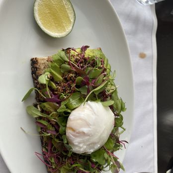 Skyhigh - Avocado toast with poached egg - Bars Near Me - Philadelphia, Pennsylvania Skyhigh - Avocado toast with poached egg - Bars Near Me - Philadelphia, Pennsylvania
