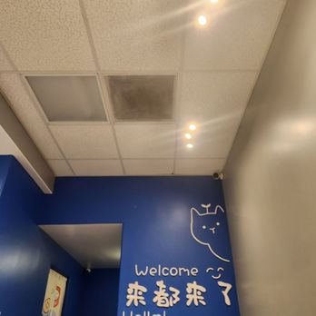 Mandro Teahouse - Desserts Near Me - Alameda, California