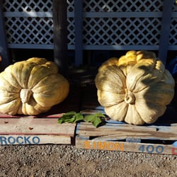 Renker Farms