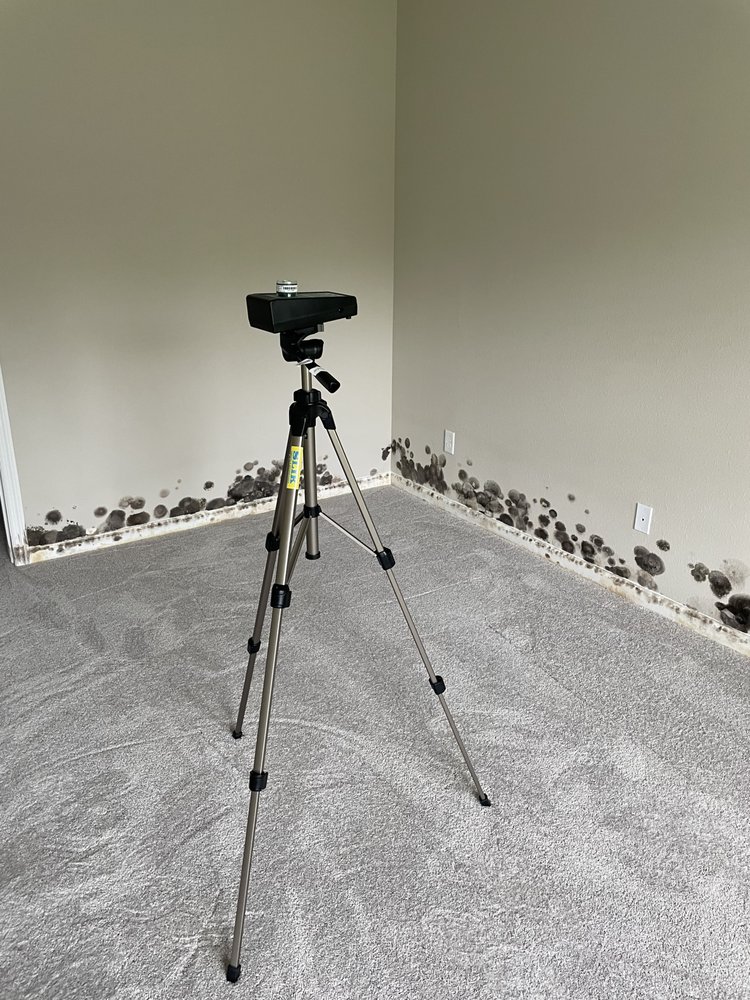 JRG Mold Inspection & Testing - St. Johns - mold inspector in St. Johns, FL