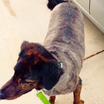 PetSmart - Pet Stores Near Me - Phoenix, Arizona