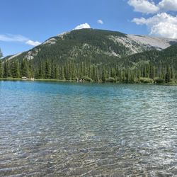 Forget Me Not Pond - Heart-grabbingly beautiful scenery in our own backyard