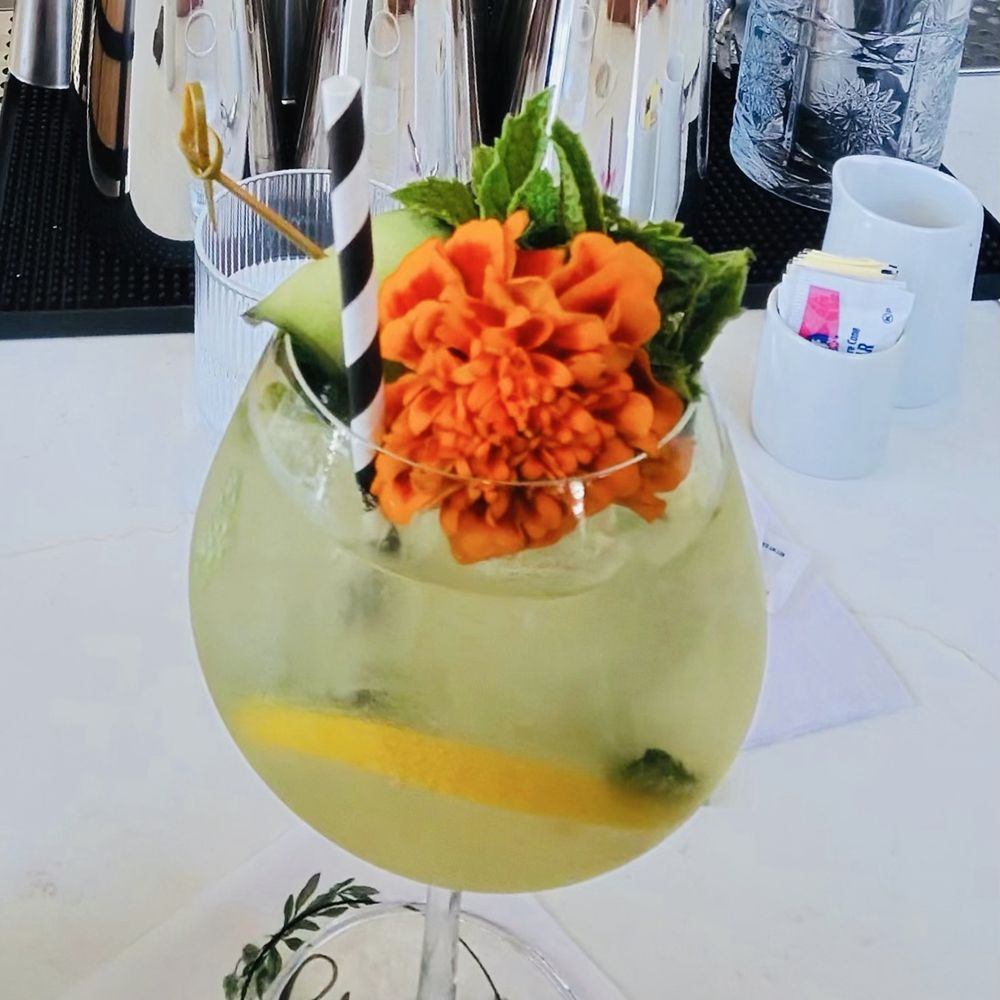 Bloom Eatery - Breakfast & Brunch Near Me - San Jose, California Bloom Eatery - Breakfast & Brunch Near Me - San Jose, California