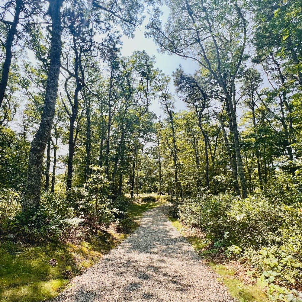 Pathway Pathway