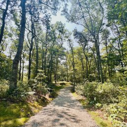 Pathway