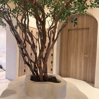 Kintsugi Yoga - Pilates Near Me - Las Vegas, Nevada Kintsugi Yoga - Pilates Near Me - Las Vegas, Nevada