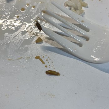 Empire Express - Shrimp with Broccoli and maggots!! In my sons food! Disgusting and all the person who answered the phone could say is "oh, sorry" - Chinese Near Me - Brooklyn, New York