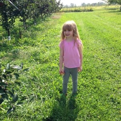 Orchard Hill Farms