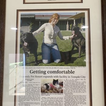 Heavenly Pet Resort - Pet Boarding Near Me - Temple City, California