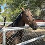 Photo of Red Horse Vineyard Bed and Breakfast